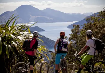 Three friends on bikes look out onto a vista