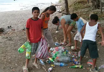 beach cleaning