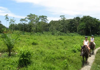 horse back tour in the rainforest