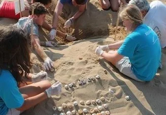 excavation 