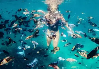 Amanda Drobek swimming in the ocean with fish