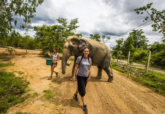 Elephant Sanctuary