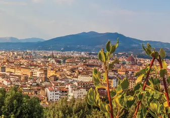 Panorama of Florence