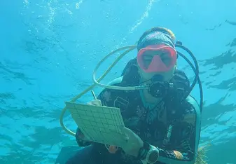 Diver surveying coral health