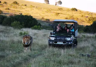 Game ranger skills in South Africa 