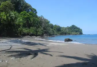 Beach, low tide