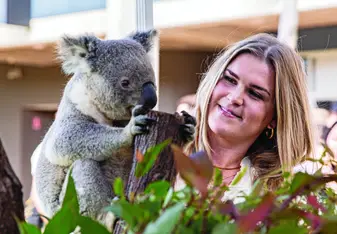 Koala at the Welcome to Australia Event