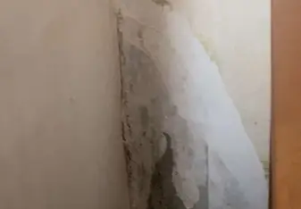 Mold in apartment