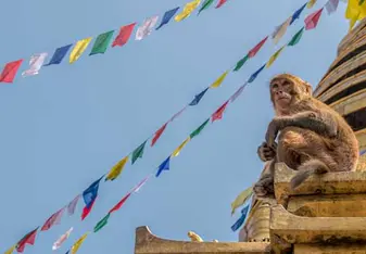 Nepal: Traditions of the Himalayas