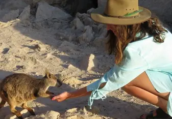 Gap Year Aus - Quokka Perth