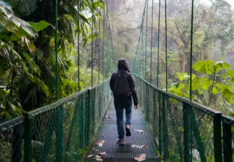 Person walking on a canopy in Costa Rican rainforest