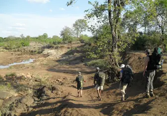 TalentProjX backpack trail in the Kruger National Park Mpongolo area