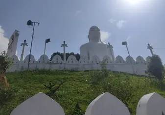 the statue