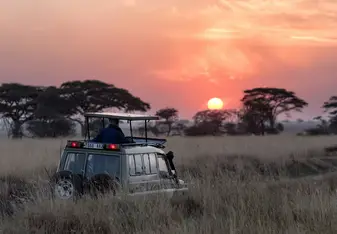 A safari tour in Africa at sunrise 