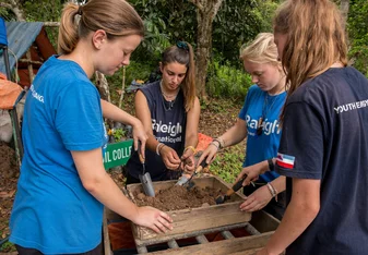 Volunteer in Borneo with Raleigh International