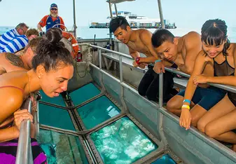 Great Barrier Reef Conservation