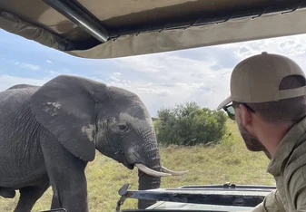 a man looks on an elephant  
