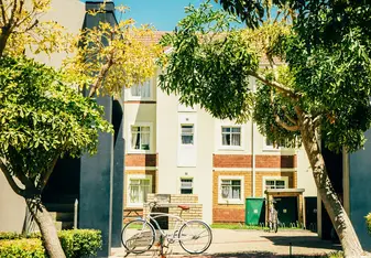 Stellenbosch University