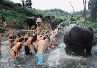 Thailand Interns
