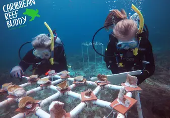 Our Research Divemasters working on the tables at the nursery