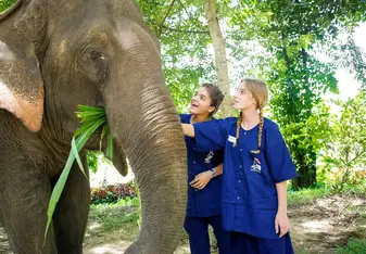 Two students in awe while touching an elephant