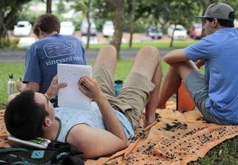 Students studying outdoors on campus
