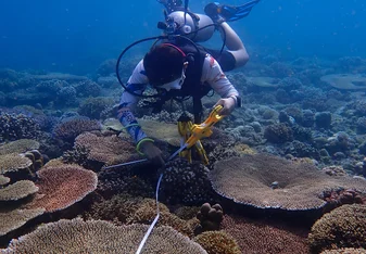 Conducting MPA assessments