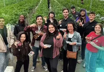 Interns from The Intern Group doing an international internship in Tokyo, Japan.