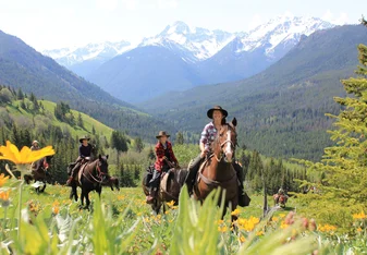Data Collection Wilderness Horseback Conservation 