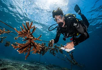 coral nursery