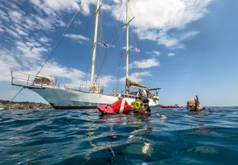 Transect team in the water ©MarcBielefeld