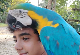 our volunteer with a macaw parrot