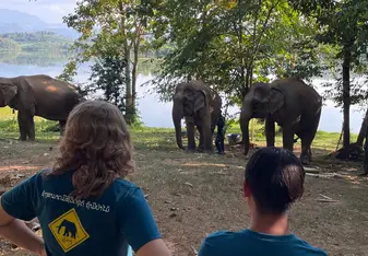Students observe elephants