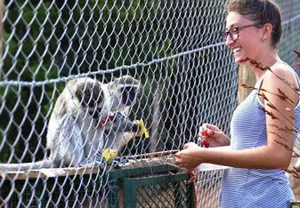 Volunteer feeding our monkeys 