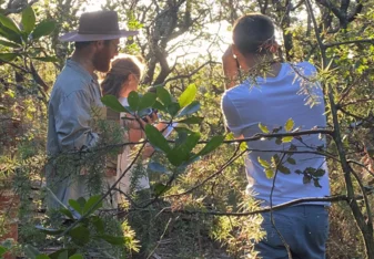 Live and work in the woodland of southern France