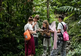 A group of people look at a map in a jungle.