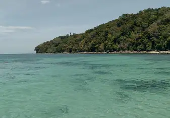 A tranquil view of Pandan-Pandan Island’s crystal-clear, untouched waters gently meeting the lush, forested shoreline. 