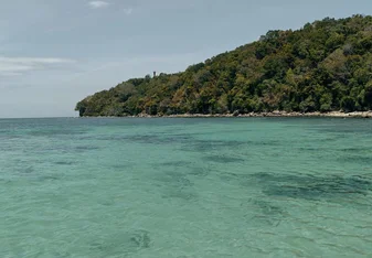 A tranquil view of Pandan-Pandan Island’s crystal-clear, untouched waters gently meeting the lush, forested shoreline. 
