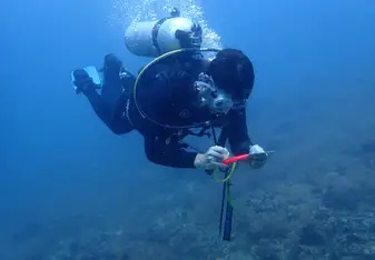 Reef Check 1