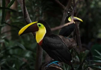 La Paz Waterfall Gardens