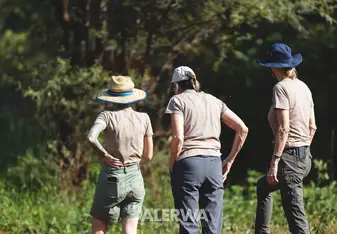 Volunteers out and about
