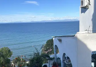 Views of the Ocean