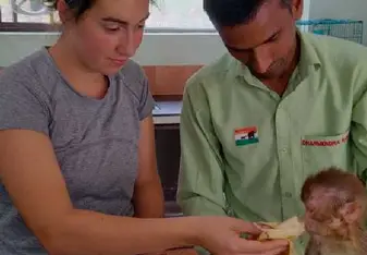 Hands-on care. Interns support wildlife rescue and rehabilitation efforts in India.