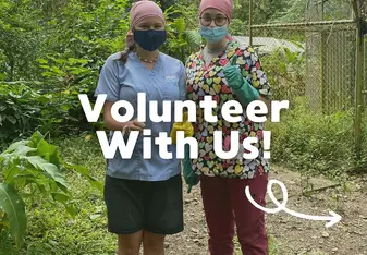 Two volunteers surrounded by jungle and enclosures in our pre-release area giving a thumbs-up 