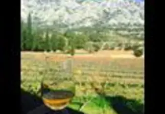 A glass of wine overlooking the mountains