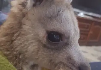 Cutest face ever 