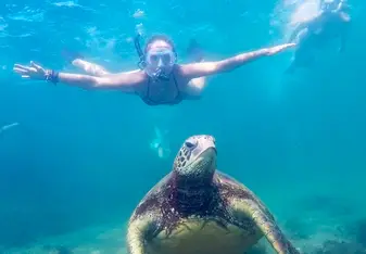 Snorkeling with turtles in Australia