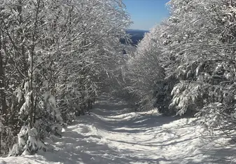 Bluebird Day, Mont Tremblant 
