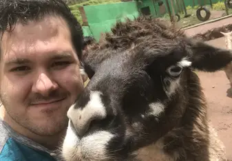 Llama 