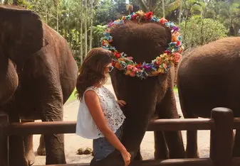 Elephant park 